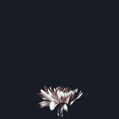 Roa AD