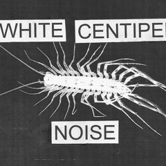 White Centipede Noise