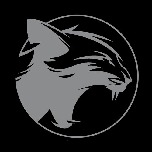 theangrycats’s avatar