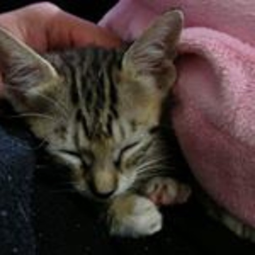 Our God - Jason Waller (Acoust