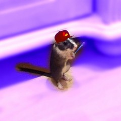 Carlos_the_magic_mouse