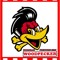 woodpecker