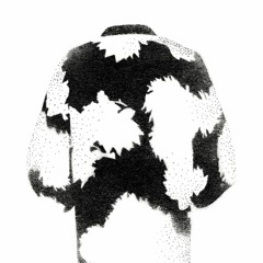 KIMONO Collective