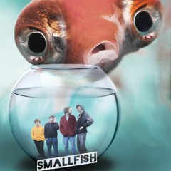 Small Fish - San Francisco