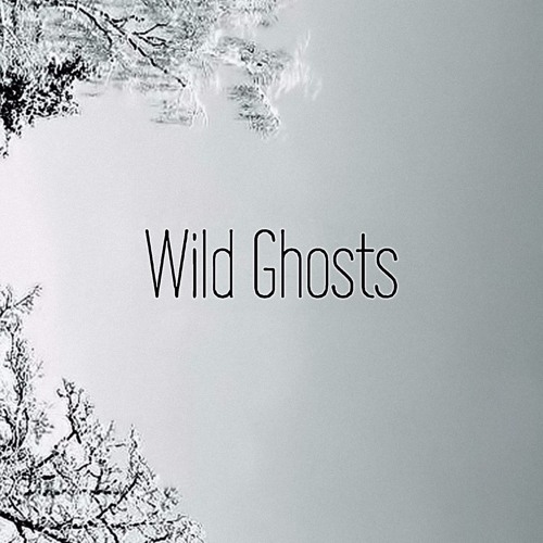 Wild Ghosts’s avatar
