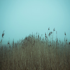 yessenia huong maldonado