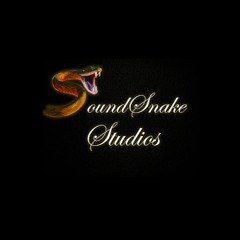Sound Snake Studios