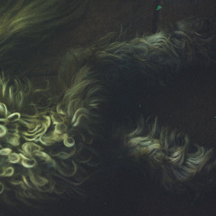 Jenice Aliza Averill