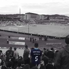 Miguel Mesquita Pires