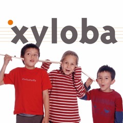 Xyloba - The marble run, that makes music.