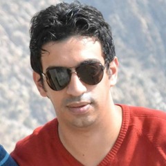 Mohamed.Monir