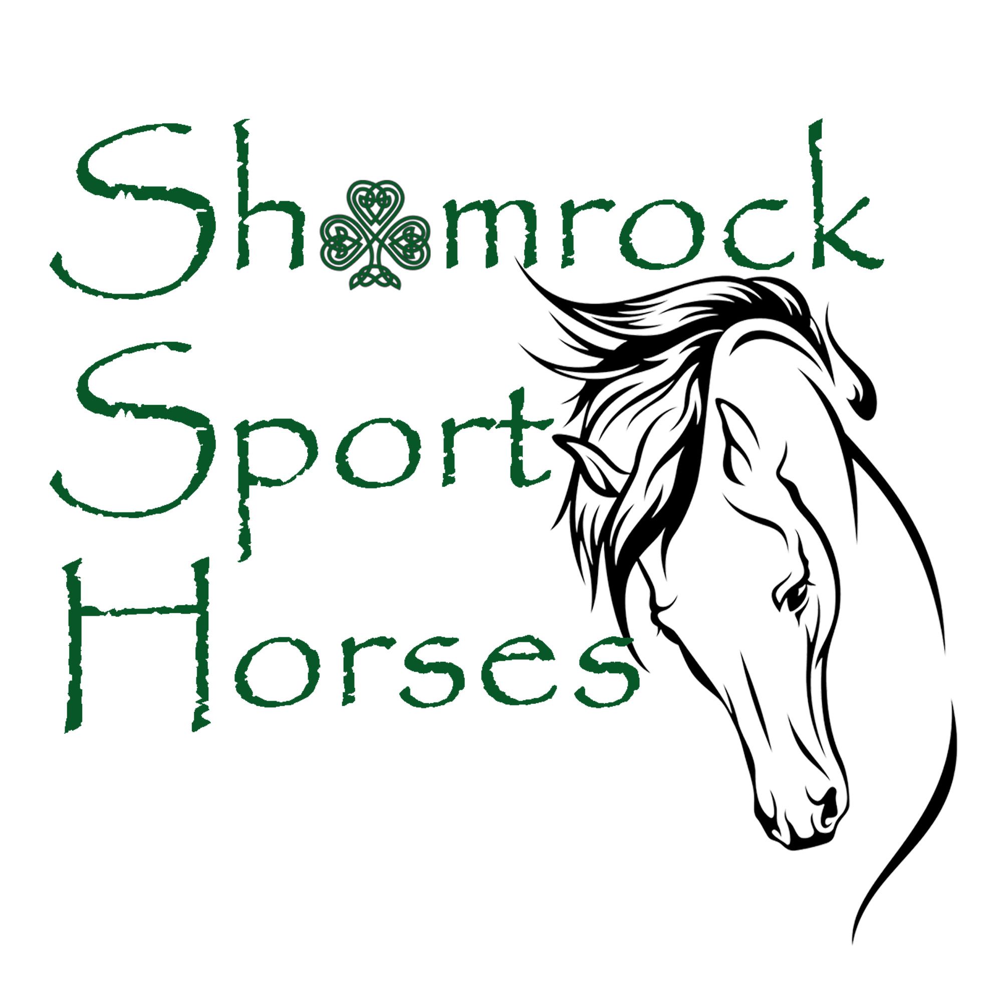 Shamrock Sport Horses