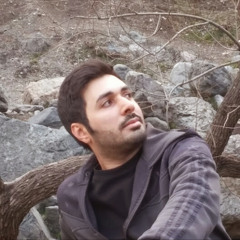 Behnam Sahraee