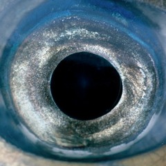 ___฿ig V∆Ⱡ∆Ⱡ∆^^^