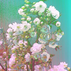 454 - SKITTLES + GATORLAND [PROD. BY 454] Copy