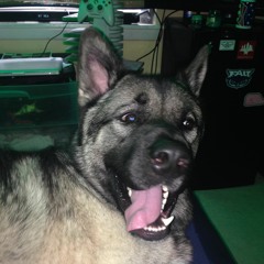 Neal