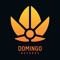 Domingo Records