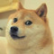 Doge Such Real