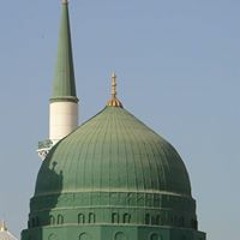 آلاء غنيم