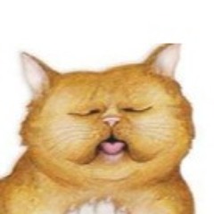 Smug Cat Productions