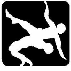 Free Flying Lessons