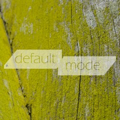 DEFAULT MODE NETWORK
