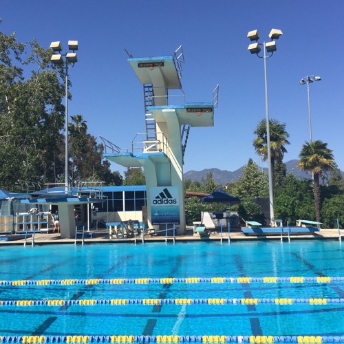 New dive spring 16