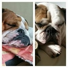 Geri