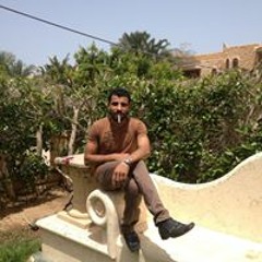 محمداحمد الخولى