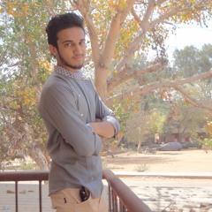 Irtiza Abbas