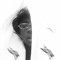 Noah J (Tha $tepchild)