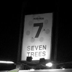 Audi_Rod7