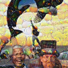 Free Willy Nelson Mandela