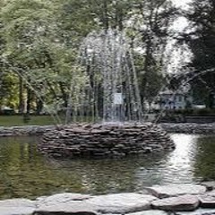 Dani El