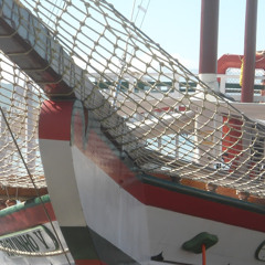 amarildo junio almeida