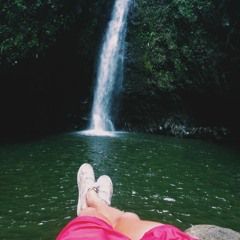 Warm Morning Sun_11.22.25