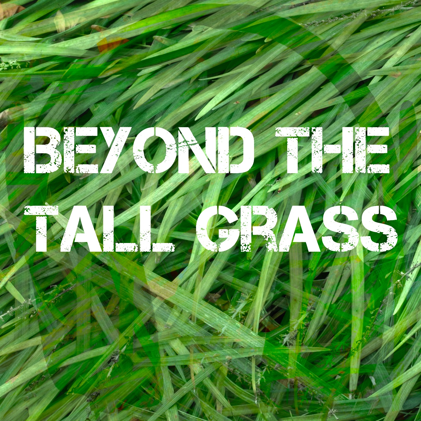 Beyond the Tall Grass