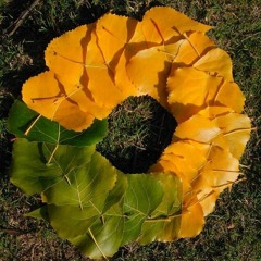 To Mend, Begin Again