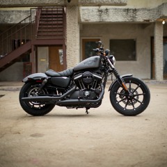 j.shkreli@bigpond.com