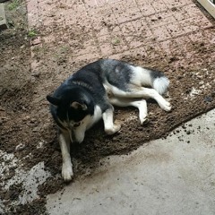 Sightless Rockonnaissance