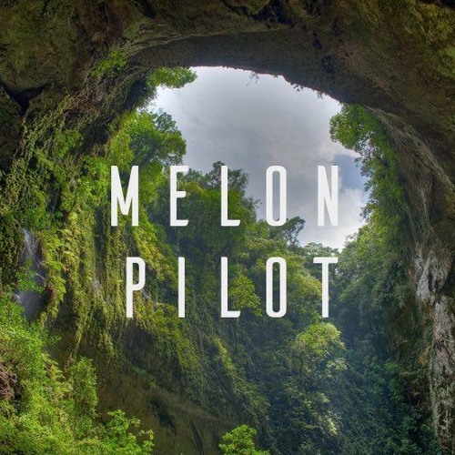 Melon Pilot’s avatar