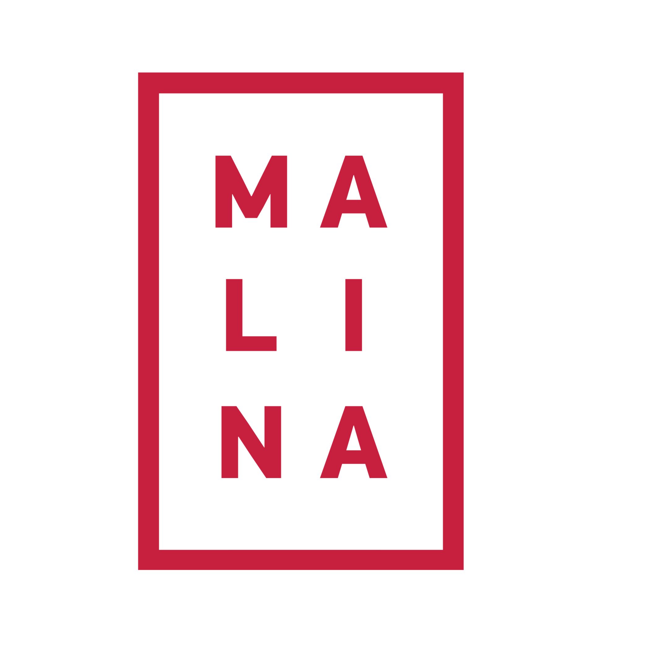 Malina.am - интервью и лекции для предпринимателей