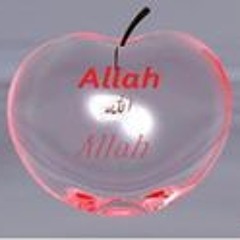 Aboudy Hossam