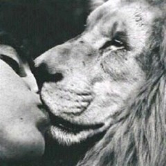 مزيج|كل المشاعر هنا •'