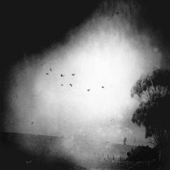 A.H. Pinley (AMBER DEAN)