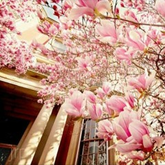 كفى يا نفسُ ما كانا كفاكِ هوىً وعصيانا