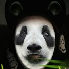 dj panda bear