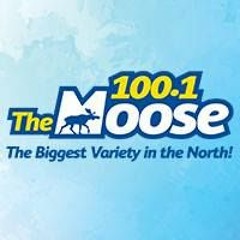 CJCD - 100.1 The Moose
