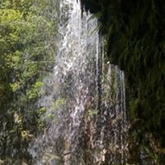 I need a rollie (digital copy)