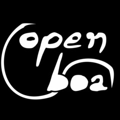 OPEN BOA